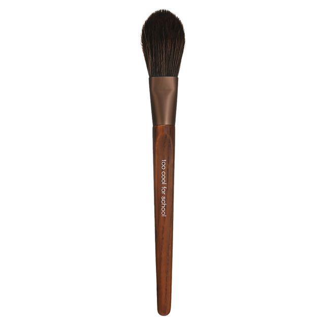 too cool for school - Artist Vegan Face Point Brush - K-Beauty Vibe