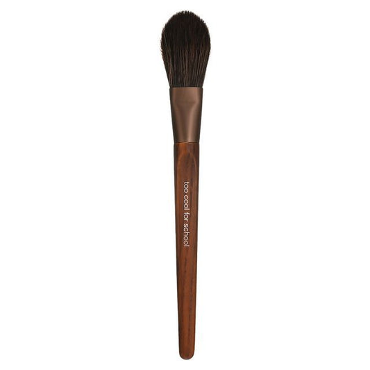 too cool for school - Artist Vegan Face Point Brush - K-Beauty Vibe